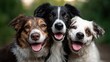 © svastix - A trio of happy dogs sits close together, showcasing their joyful expressions while surrounded by a natural outdoor setting, radiating warmth and playfulness.