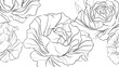 © taya - Elegant rose line art illustration white background.