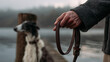 © BlackBridge Media - Person Holding Dog Leash by Water