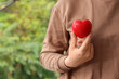 © Pixel-Shot - Person holding a red heart, health and medical care, love and compassion, charity and donation