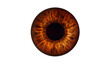 © Farhat - eye, iris, brown, golden, fire, vision, pupil, anatomy, biological, organ, sight, abstract, glow, light, medical, intricate, detailed, fiber, radial, texture, colorful, vibrant, digital.