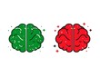 © Jumidi - Set of green and red brain illustrations with sparkling elements.