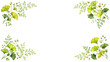 © Ahmad - Ginkgo Leaf and Fern Watercolor Botanical Corner Frame