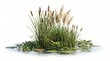 © design goodie - Green cattails and pampas grass grow in water to create a natural landscape design.