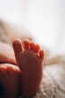 © marii - newborn baby feet