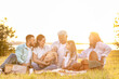 © Pixel-Shot - Portrait of big family on picnic in park at sunset