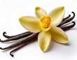© Amy - vanilla bean and flower isolated on white background aromatic and flavorful