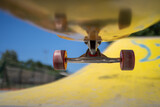 Low angle of skateboard trucks and wheels 