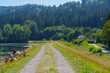 © Katie Chizhevskaya - Scenic Dirt Road Along Calm Lake in the Bavaria Forest Landscape
