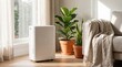 © IbragimovN - Minimalist home interior scene with dehumidifier and green potted plants for modern lifestyle design