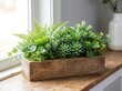 © Pure Pro Stock - Green succulent plants and ferns in a rustic wooden planter box placed on a sunny windowsill for home decor