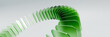 © Gunta - Continuous green ring shape, circular economy and environmental innovation concept, abstract background