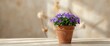 © vxnaghiyev - Purple Flowers in a Terracotta Pot on a Wooden Table with Soft Lighting