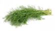 © DigitalDruid - Fresh Dill Herb Bundles Isolated on White Background
