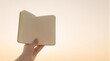 © honigjp31 - A hand holding an open blank notebook against a bright, hazy sky background
