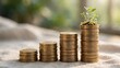 © Omer - Small green plant growing on top of a stack of gold coins representing financial growth and investment success.
