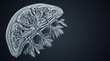 © Aparajita - Detailed anatomical cross section of human liver tissue with vein network physiology internal
