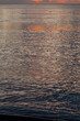 © Alexis - Golden morning sunlight reflecting on ripples of calm ocean surface.