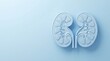 © Thongphun - Nephrology concept featuring a decorative human kidneys model on pastel blue background with copy space.
