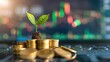 © Gorgens - Small green plant seedling growing from a stack of golden coins