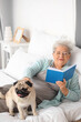 © Pixel-Shot - Senior woman with cute pug dog reading book in bedroom