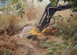 © Nicola - Excavator digging soil during land clearing and earthmoving