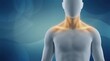 © spyrakot - Human upper torso silhouette highlighting neck and shoulder area