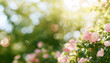 © Prasanth - A dreamy soft focus background featuring spring floral garden elements with a blurred effect.