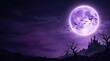 © SAJJAD - Spooky Halloween castle landscape background with purple full moon and copy space