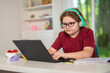 © Volodymyr - Student studies with computer daily. Student learner uses headset indoors. Happy student enjoys online learning. Focused student studies at home.