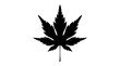 © sumera - Black cannabis leaf silhouette on white background, medicinal marijuana plant icon, hemp foliage graphic for wellness branding