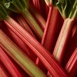 © Ilja - Close Up of Fresh Ruby Rhubarb Stalks with Vibrant Colors and Natural Texture at Farmers Market