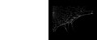 © Mehnaz - Spooky spider web on black background, creepy cobweb texture for Halloween design, dark gothic background element