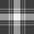 © SolaruS - Vogue pattern fabric tartan, choose texture vector background. Diwali check seamless textile plaid in grey and white colors.