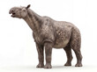© Paulo - Paraceratherium transouralicum vocalizing, giant prehistoric rhinoceros with raised head and open mouth producing a natural call on white background