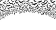 © Seli - Halloween bat swarm vector illustration, flying black bats silhouette border, spooky nocturnal animal background for party decor
