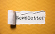 © ARAMYAN - Composite image of the word newsletter