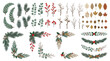 © Sulis - Winter Botanical Collection Christmas Greenery Pine Berries Floral Borders