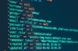 © mrzn - Programming code displayed on dark computer monitor showing user database structure with programming, software