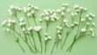 © novi syahdah - white flowers on green background