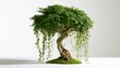 © ida - Lush green tree with twisted trunk and trailing vines on mossy base