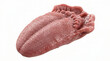 © FazzF Studio - Realistic Human Tongue Anatomy Organ Isolated on a Plain White Background View