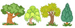© Rive - A set of illustrations of different types of trees. Crayon drawing for children.