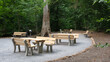 © stefan rohner - Öffentlich zugänglicher Platz mit Tischen, Bänken und Grillstelle im Freien in einer Waldlichtung im Zürcher Stadtwald