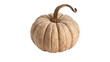 © Brooks - Dry natural textured pale brown decorative pumpkin isolated on transparent background