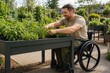 © Bijac - Gardener in wheelchair tending raised accessible garden bed