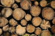 © JS - Holzstapel