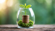 © pingpao - A small plant grows from a stack of coins inside a glass jar, symbolizing financial growth and investment with a natural green background.
