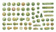 ©  MVectors - Trees bushes top view, green brown garden elements, landscape plan, vector illustration