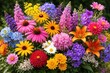 © TheWaterMeloonProjec - Colorful Mixed Flower Bouquet Arrangement with Seasonal Blooms in Natural Light